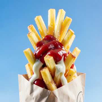 Fries Up High cover art